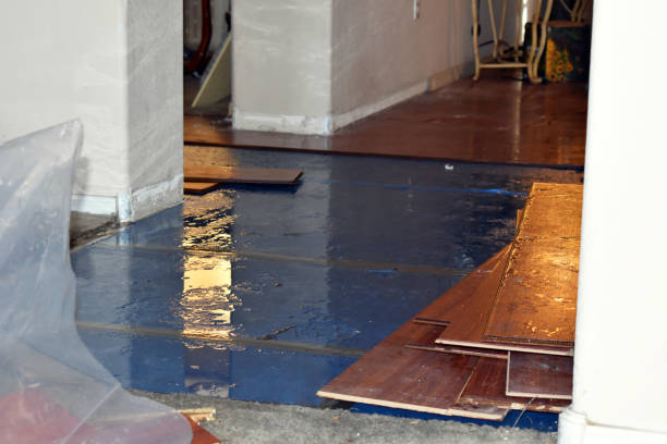 Professional Flood Damage Restoration technician working in Fletcher, OH